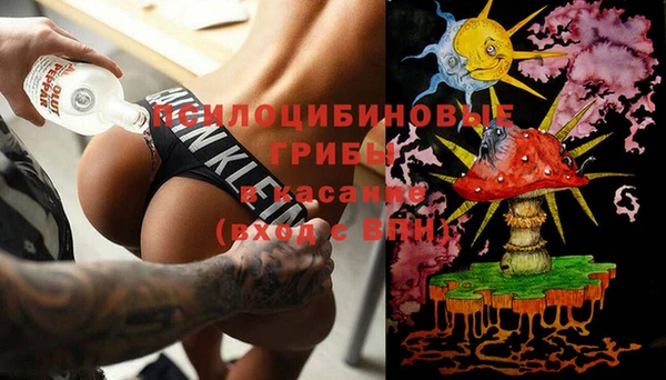шишки Алексин