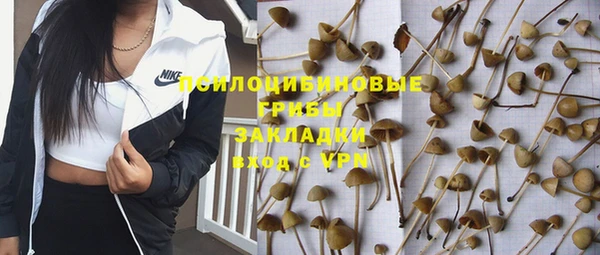 шишки Алексин
